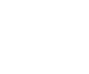 Evolution games at Need For Spin Casino